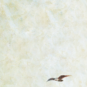 小仙儿骚麦在线
