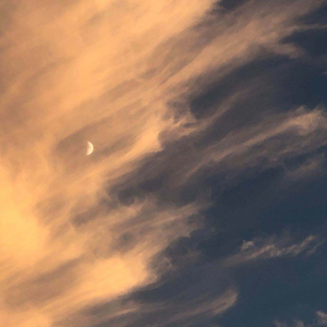 小仙儿骚麦在线
