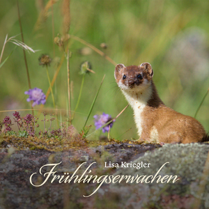 小仙儿骚麦在线
